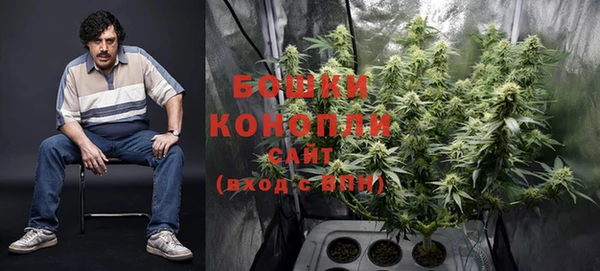 ГАЛЛЮЦИНОГЕННЫЕ ГРИБЫ Мегион