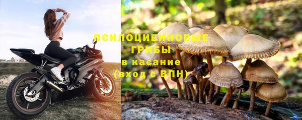 каннабис Гусиноозёрск