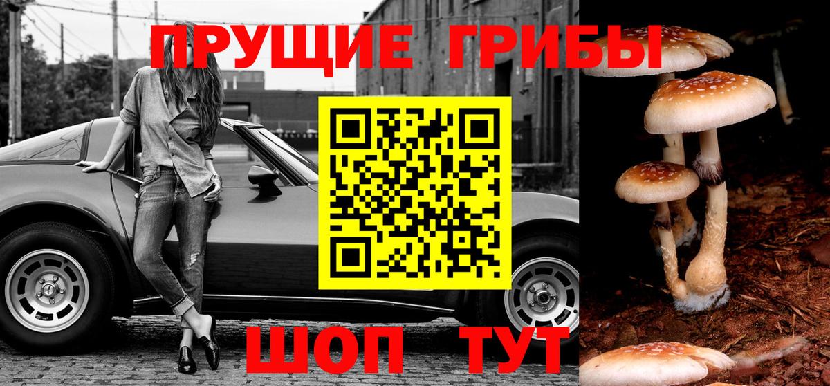 где купить наркоту  Джанкой  Псилоцибиновые грибы ЛСД 