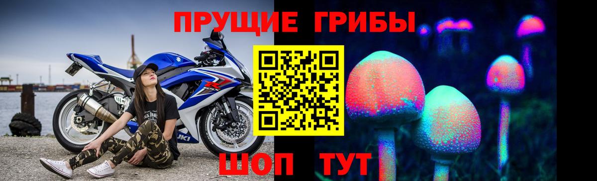 Галлюциногенные грибы GOLDEN TEACHER  Вход с VPN  Джанкой 